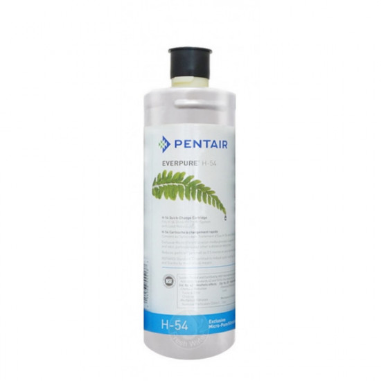 愛惠浦Everpure-H54